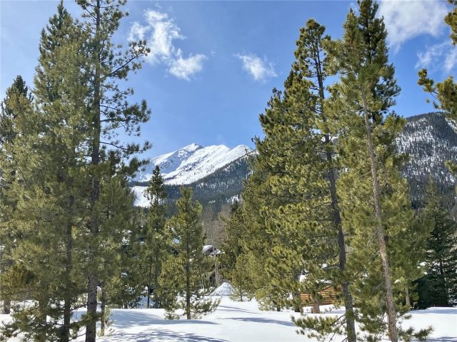 Land in Bills Ranch West Sub, Frisco, CO — photo 1 (MLS S1040010)