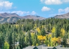 81 Mountain Thunder Drive 702 photo 1