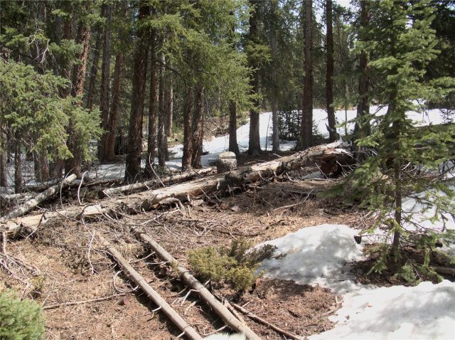 Land in Montezuma Town Sub, Montezuma, CO — photo 1 (MLS S1040565)