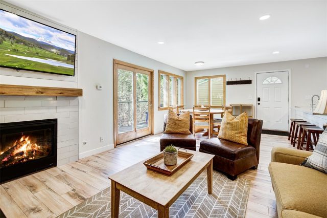 Condo in Frog Hollow Condo, Frisco, CO — photo 1 (MLS S1040754)