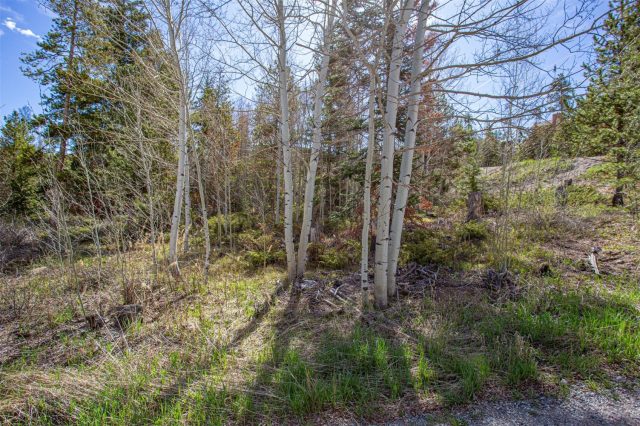 Land in Dillon Valley Sub, Dillon, CO — photo 1 (MLS S1041025)