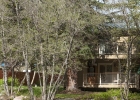 111 Forest Drive E photo 1 111 Forest Drive E photo 1