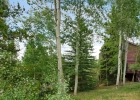 53 Wagner Way photo 1