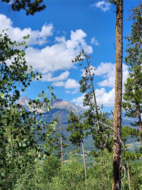 Land in Hamilton Creek Sub, Silverthorne, CO — photo 1 (MLS S1042866)