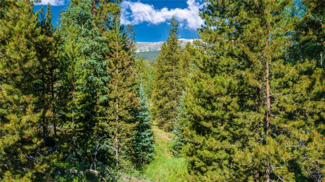 1358 American Way, Breckenridge, CO — main photo