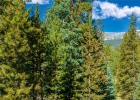 1358 American Way photo 1