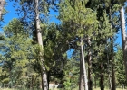 104 S Gold Flake Terrace photo 1