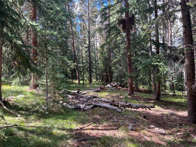 26 Blue Grouse Trail, Blue River, CO — main photo