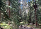 26 Blue Grouse Trail photo 1 26 Blue Grouse Trail photo 1