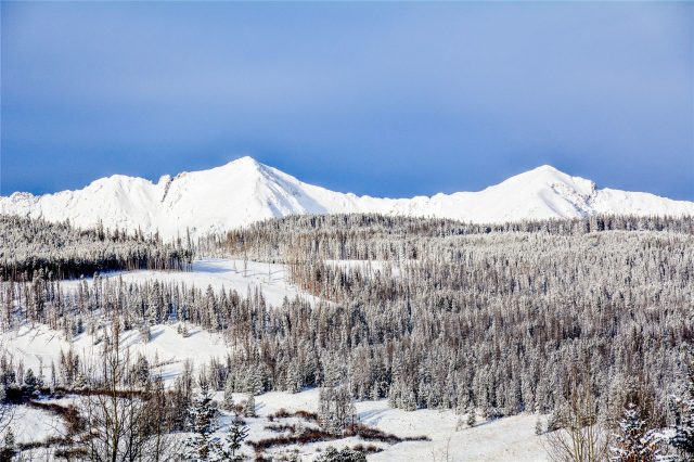 Townhome in Homes At Maggie Point, Breckenridge, CO — photo 1 (MLS S1044145)