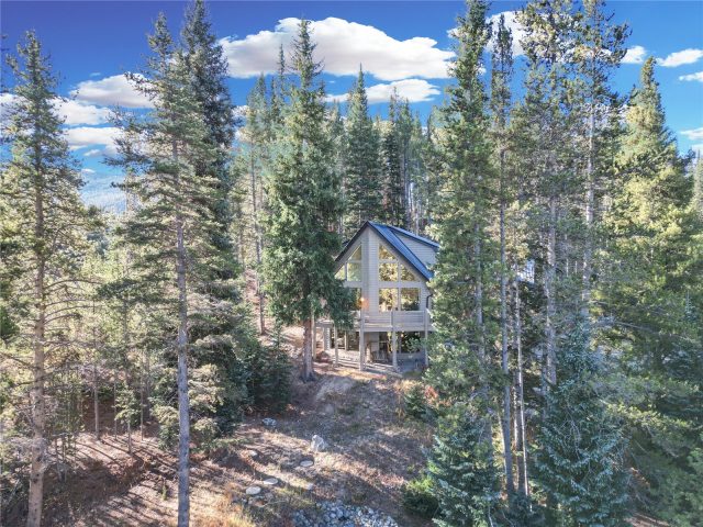 Home in Crown Sub, Blue River, CO — photo 1 (MLS S1044669)