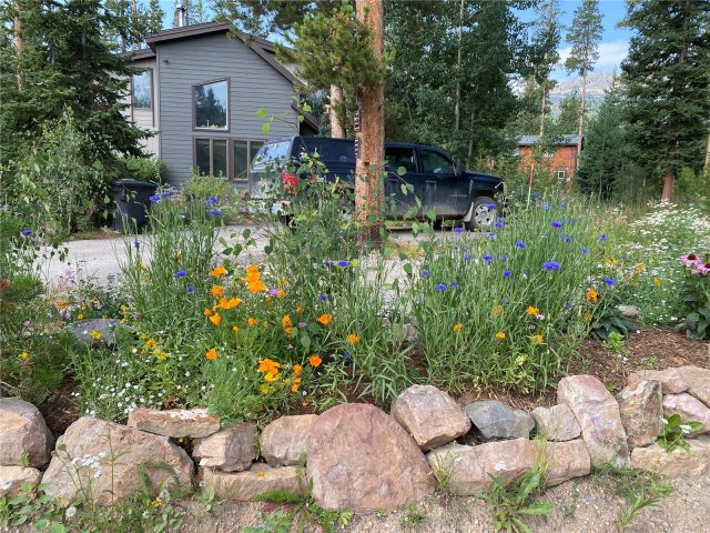 Home in Ponderosa Sub, Breckenridge, CO — photo 1 (MLS S1044793)