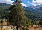 97 97 Circle photo 1