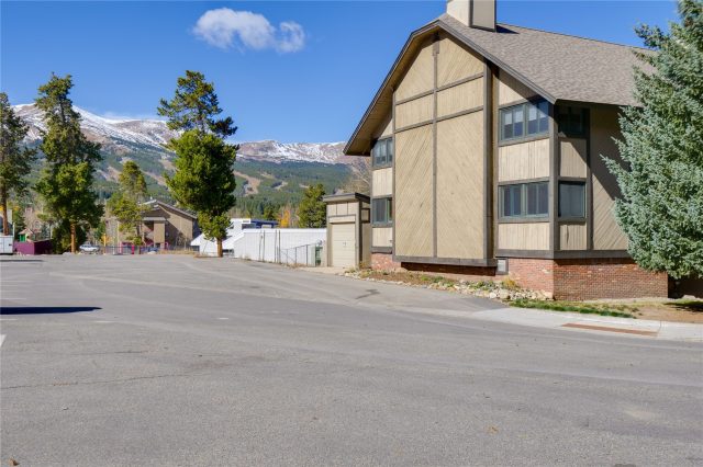 Condo in Forest Haus Condo, Breckenridge, CO — photo 1 (MLS S1044845)