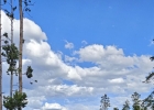10 Stephanies Way photo 1