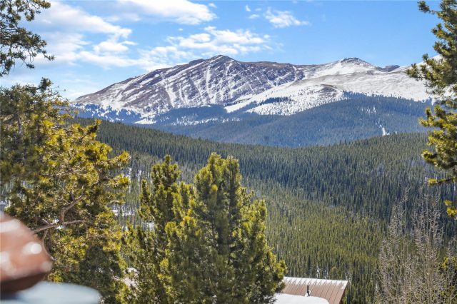 Timeshare in Saddlewood Condo, Breckenridge, CO — photo 1 (MLS S1046179)