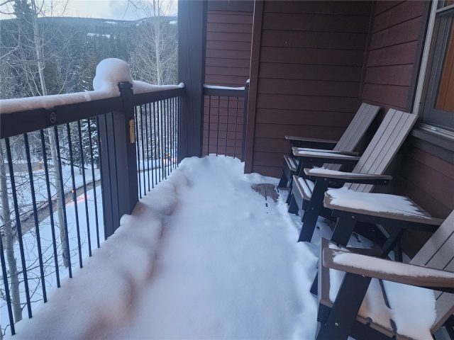 75 Snowflake 726/49 photo 15