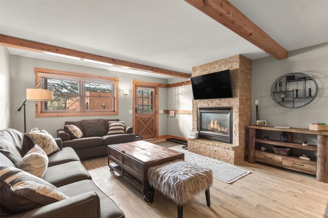 Condo in Trollhagen Condo, Breckenridge, CO — photo 1 (MLS S1046494)