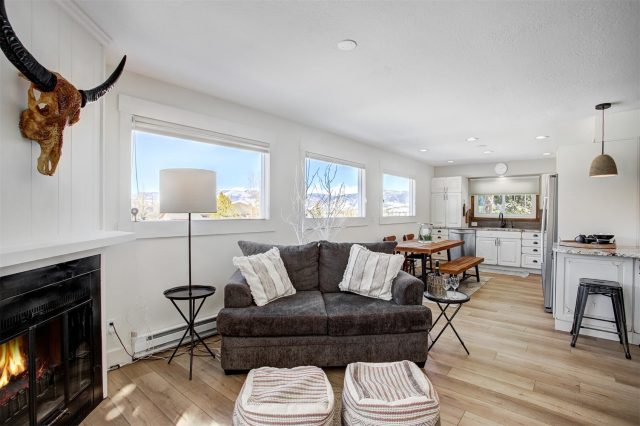 Duplex in Teller Duplexes, Frisco, CO — photo 1 (MLS S1047750)