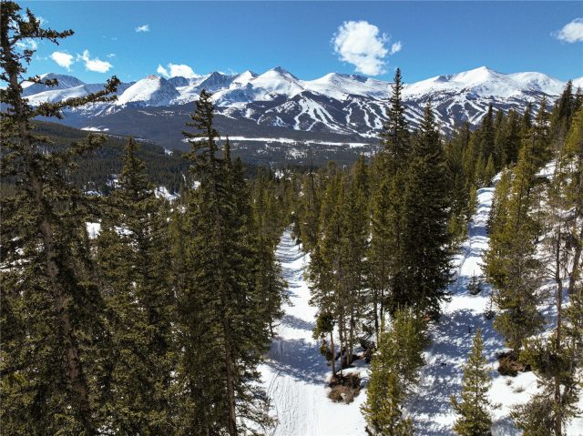 Land in Goldenview Sub, Breckenridge, CO — photo 3 (MLS S1047753)