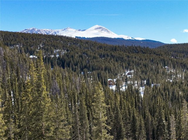 Land in Goldenview Sub, Breckenridge, CO — photo 6 (MLS S1047753)