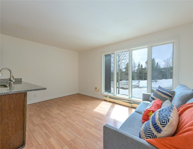 Condo in Sundance Lodge Condo, Silverthorne, CO — photo 1 (MLS S1048275)
