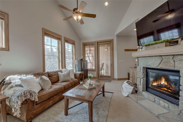 Condo in Park Avenue Lofts Condo, Breckenridge, CO — photo 1 (MLS S1048294)