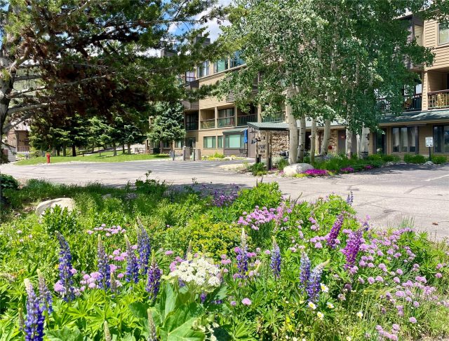 Condo in Lenawee Condo, Keystone, CO — photo 1 (MLS S1048446)