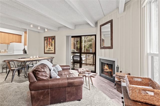 Condo in Ten Mile Island Condo, Frisco, CO — photo 1 (MLS S1048582)