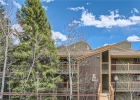 2434 Ryan Gulch Court 103 photo 1