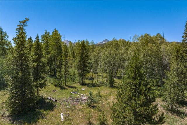 Home in The Overlook At Summit Sky Ranch, Silverthorne, CO — photo 6 (MLS S1048897)