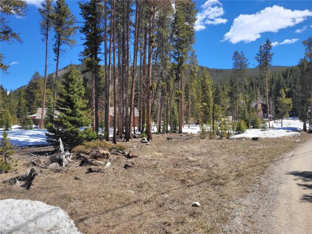 Land in Wilderness Sub, Breckenridge, CO — photo 1 (MLS S1048949)