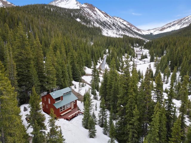 Home in Mountain Meadows Sub, Breckenridge, CO — photo 1 (MLS S1050478)
