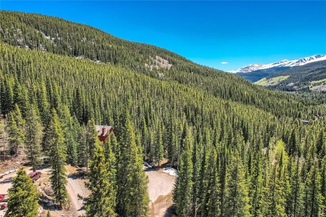 Land in Coronet Sub, Breckenridge, CO — photo 1 (MLS S1050616)