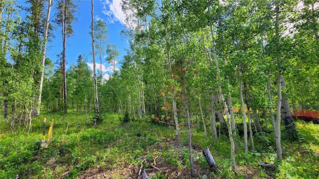 Land in Bills Ranch Sub, Frisco, CO — photo 1 (MLS S1050974)