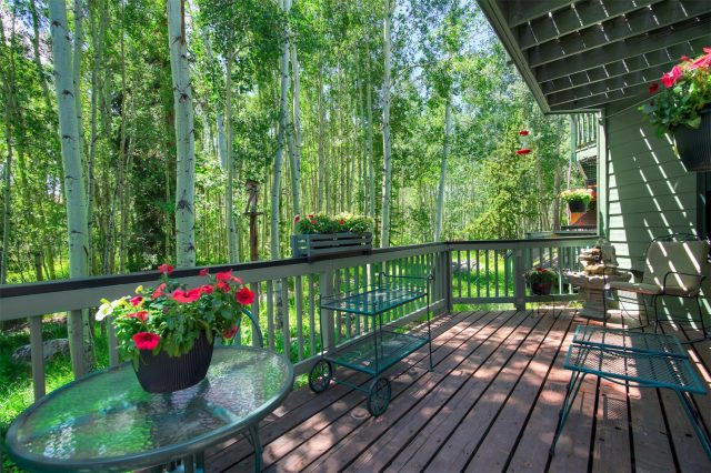 Duplex in Robbins Duplex, Frisco, CO — photo 1 (MLS S1051350)