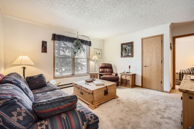 Condo in Wildflower Condo, Breckenridge, CO — photo 1 (MLS S1053025)