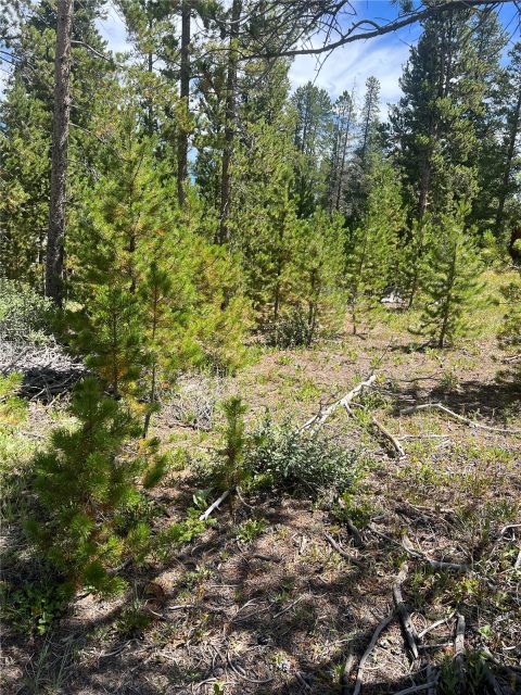 Residential in Placer Acres Sub, Breckenridge, CO — photo 1 (MLS S1053115)