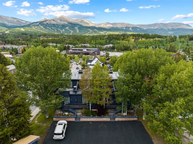 Condo in Wellington Place Condo, Breckenridge, CO — photo 1 (MLS S1053429)