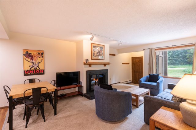 Condo in Ten Mile Condo, Copper Mountain, CO — photo 1 (MLS S1053522)