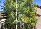 306 S French Street I photo 1