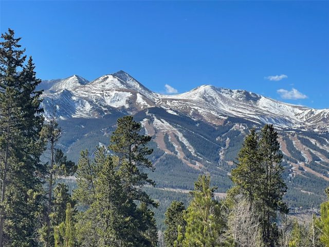 Condo in Great Divide Condo, Breckenridge, CO — photo 1 (MLS S1055047)