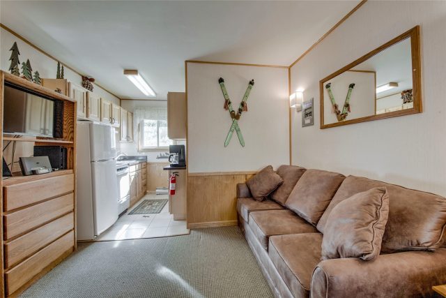 Condo in Breckenridge Park Meadows Condo, Breckenridge, CO — photo 1 (MLS S1055154)