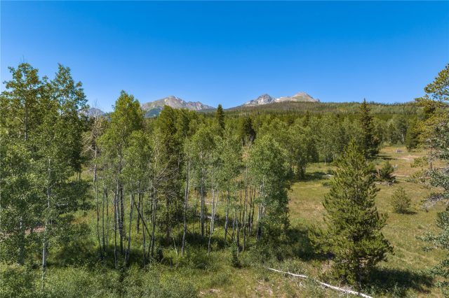 Home in The Overlook At Summit Sky Ranch, Silverthorne, CO — photo 6 (MLS S1056155)