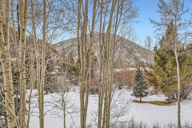 620 Tennis Club Road 1339 photo 45