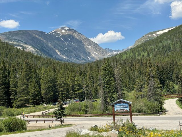 Condo in Quandary Breckenridge Condo, Breckenridge, CO — photo 1 (MLS S1056365)