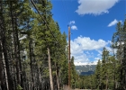 0104 Cr 534 photo 1