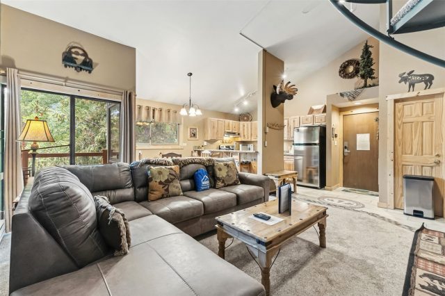 Timeshare in Flying Dutchman Condo, Keystone, CO — photo 2 (MLS S1056509)
