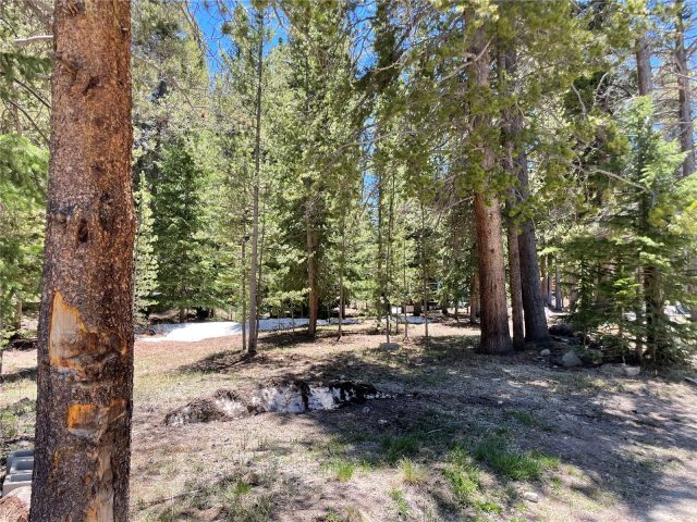 Land in Wilderness Sub, Breckenridge, CO — photo 1 (MLS S1056767)