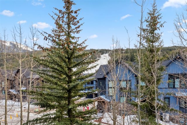 91 River Run Road 8117 photo 18